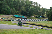 Middle Group Green Bikes